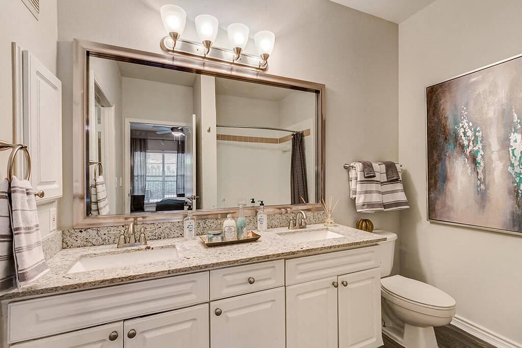 a bathroom with a sink and a toilet and a mirror