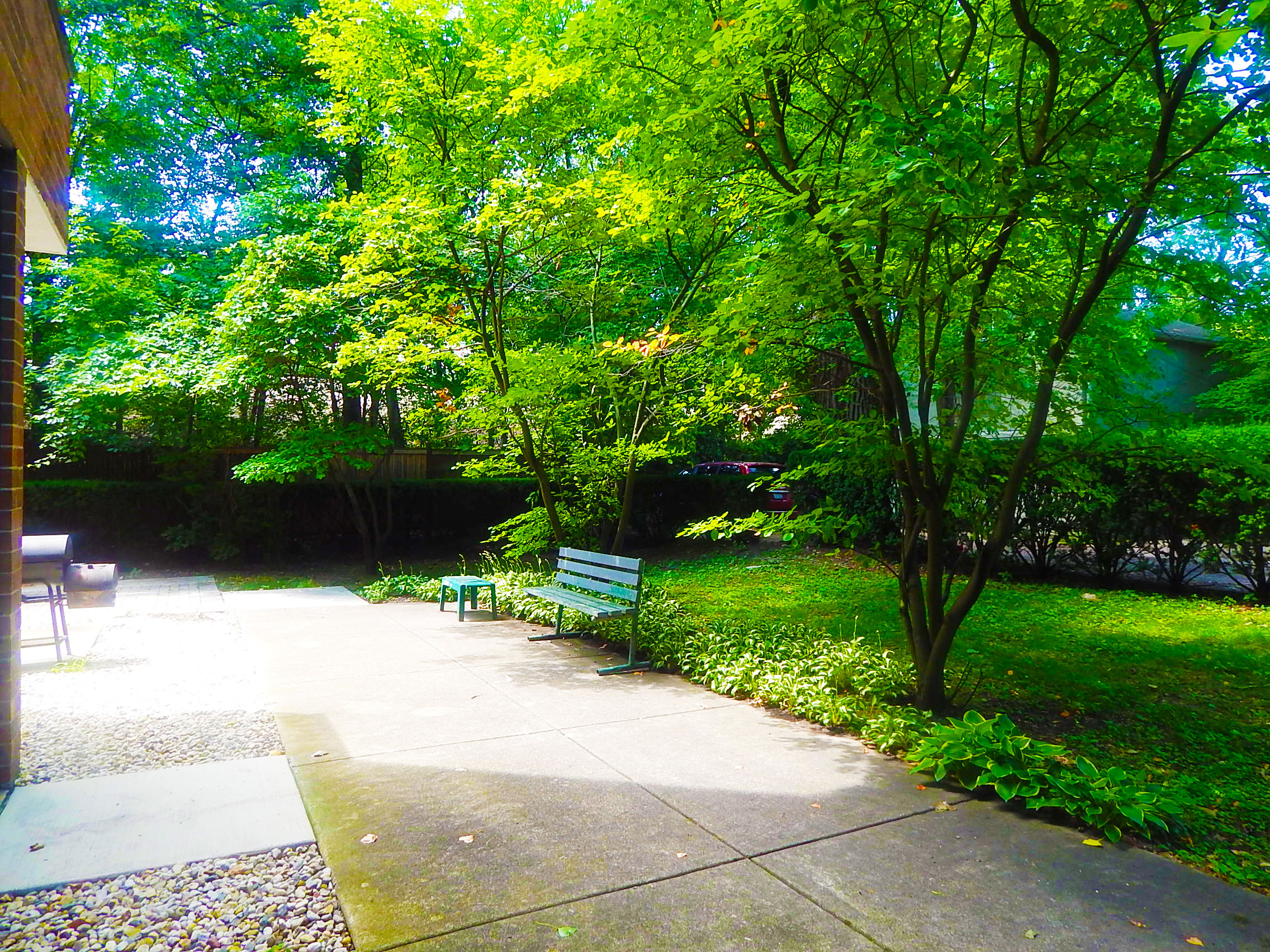 a park bench on a sidewalk next to trees