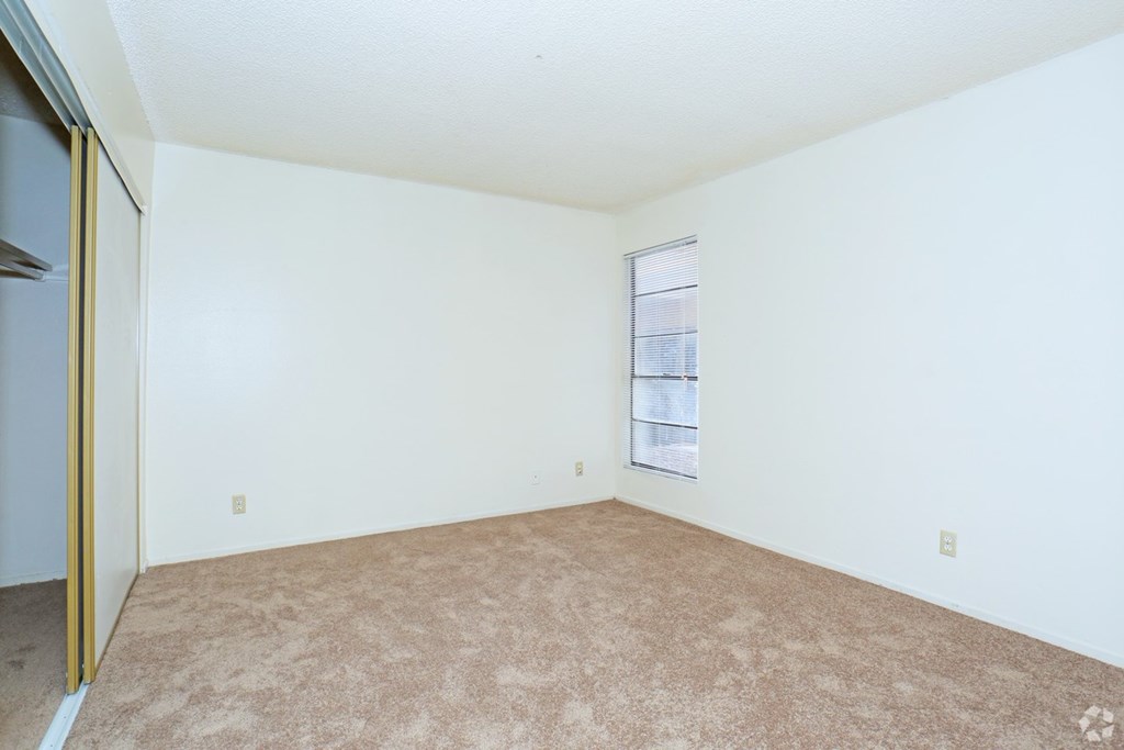 A room with a carpeted floor and a window.