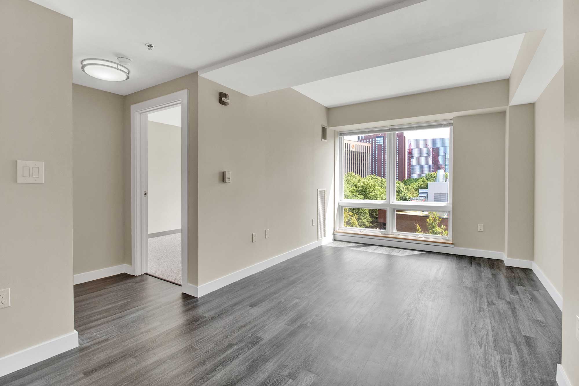 Unique floor plans, oversized windows and modern plank flooring