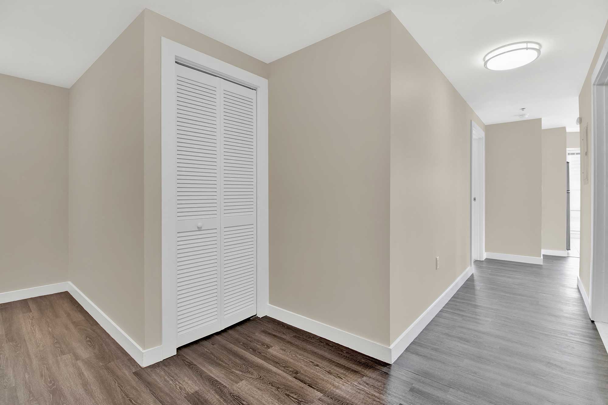 Hallway and storage space with modern plank flooring