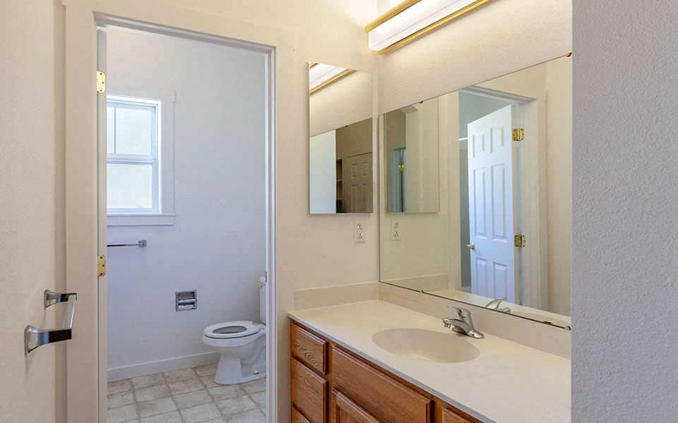 a bathroom with a mirror and a sink and a toilet