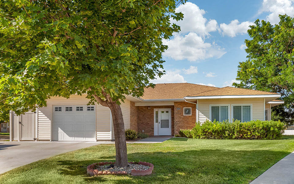a house with a tree in front of it