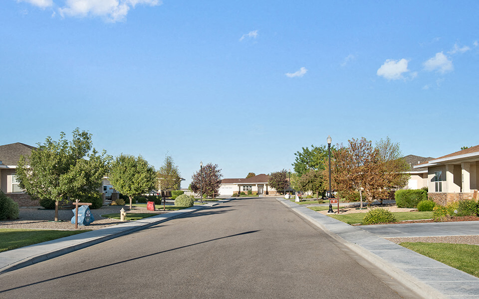 a street in a neighborhood with houses and trees