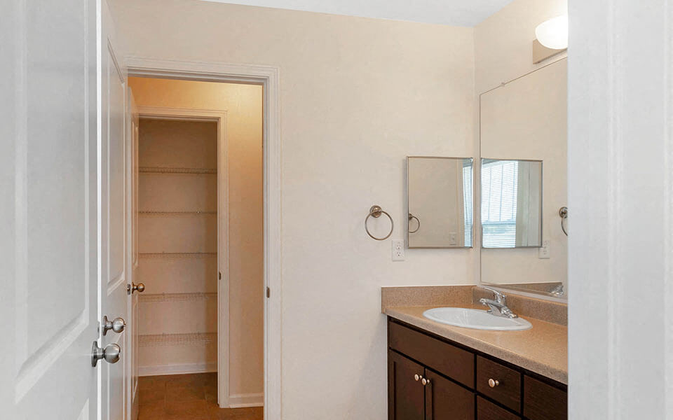 a bathroom with a sink and a mirror and a closet