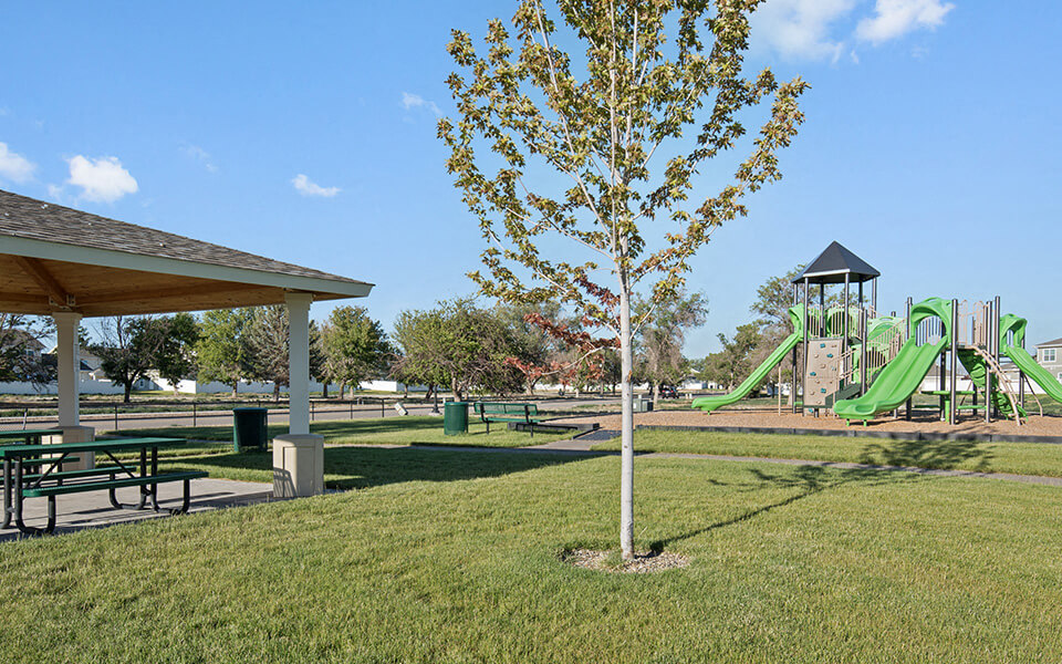 a park with a playground and a tree