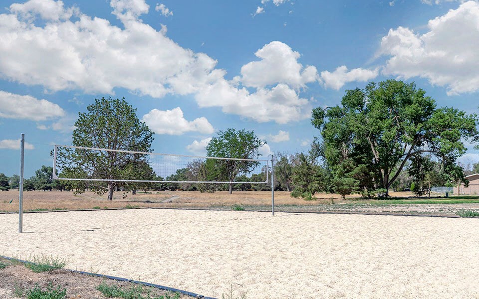 a volleyball court on a sunny day with trees