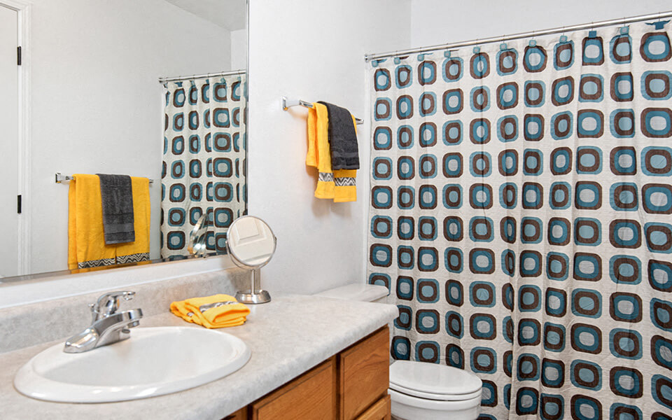 a bathroom with a shower and a sink and a mirror