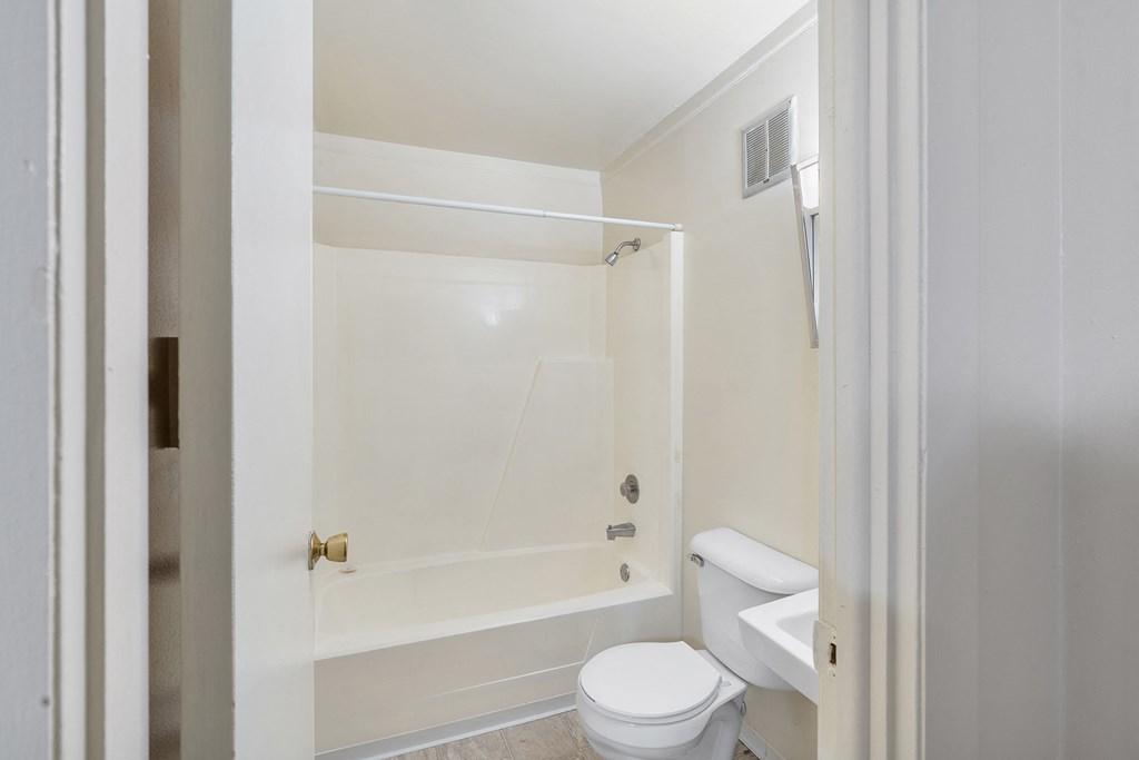 a bathroom with a tub and a toilet and a sink