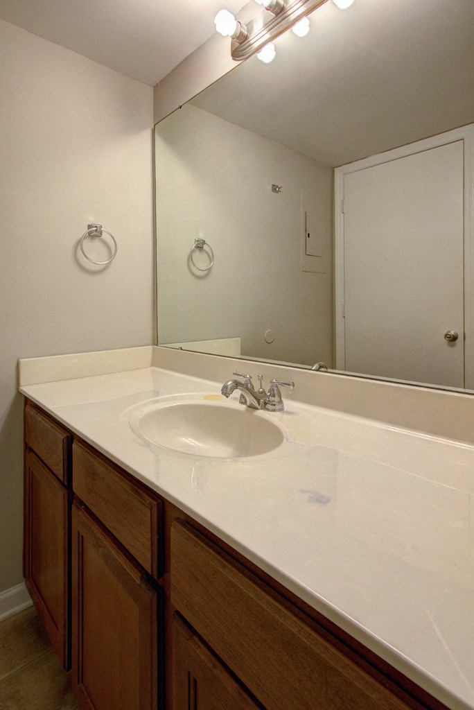 a bathroom with a sink and a large mirror