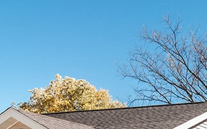 Grand Forks Afb Homes 514 Louisiana Street Building 119 Grand Forks Afb Nd Rentcafe