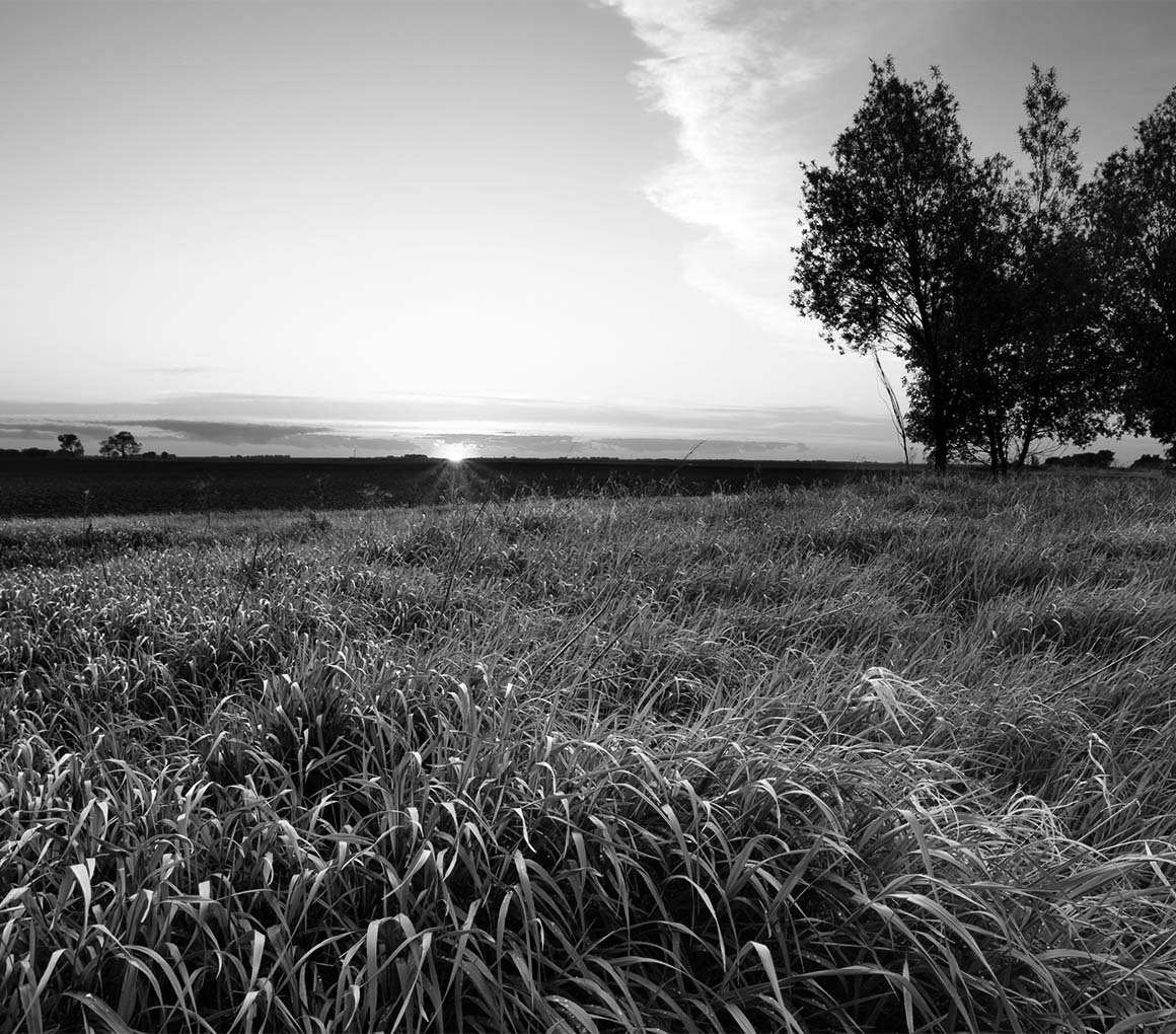 Grand Forks Afb Homes Homes In Grand Forks Afb Nd