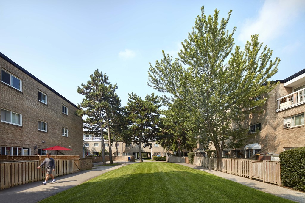 Bayview Mews grounds