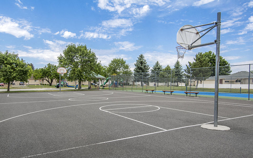 a basketball court in a park with trees