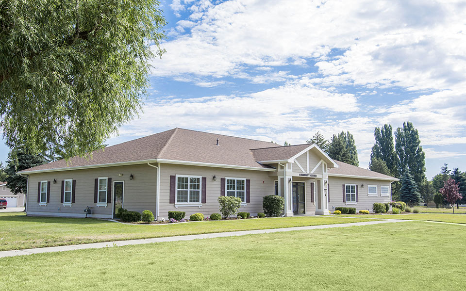 a house with a lawn and a tree