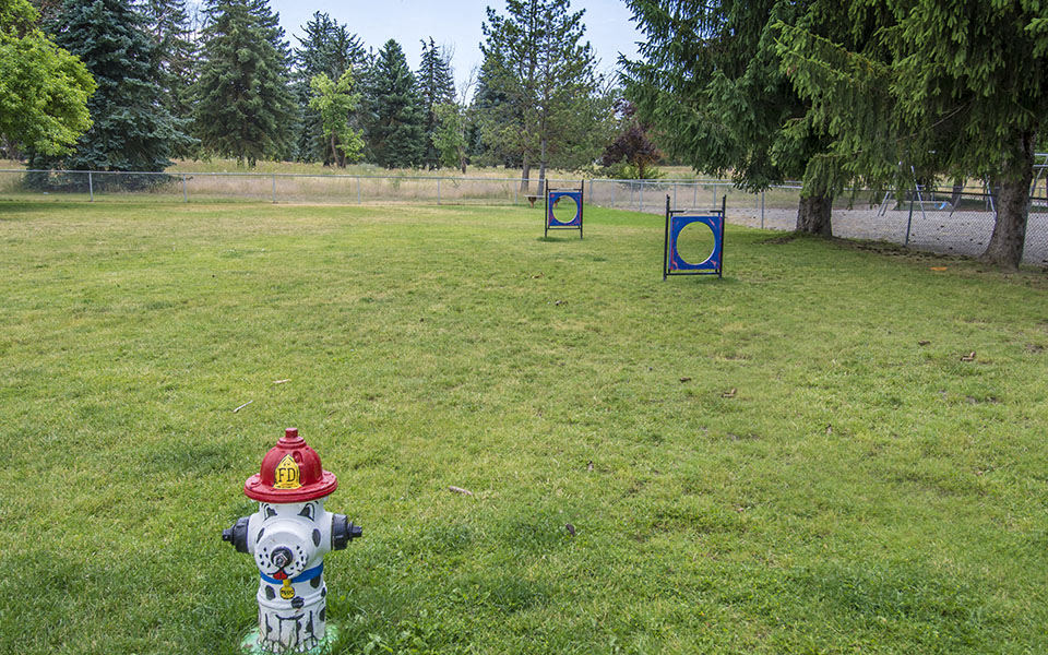 a fire hydrant in the middle of a field