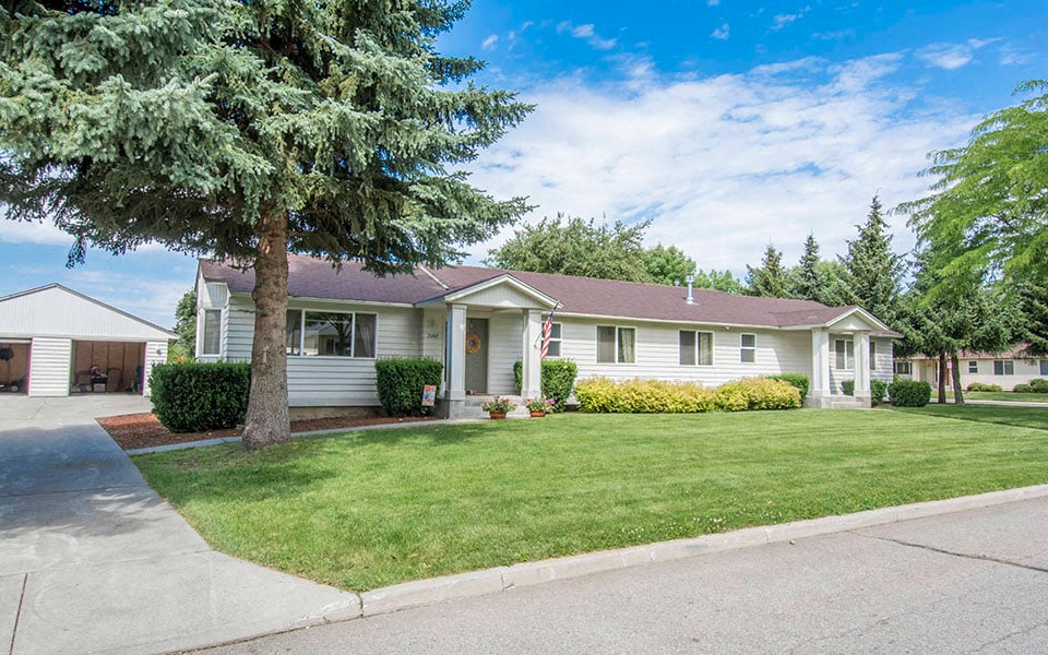 a white house with a lawn and a tree