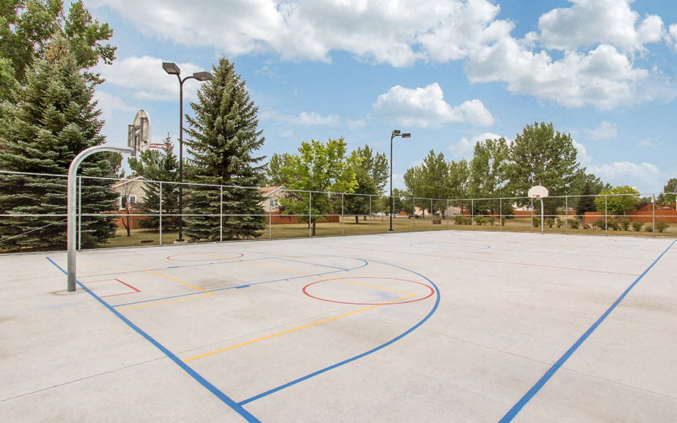 a basketball court at a park with trees