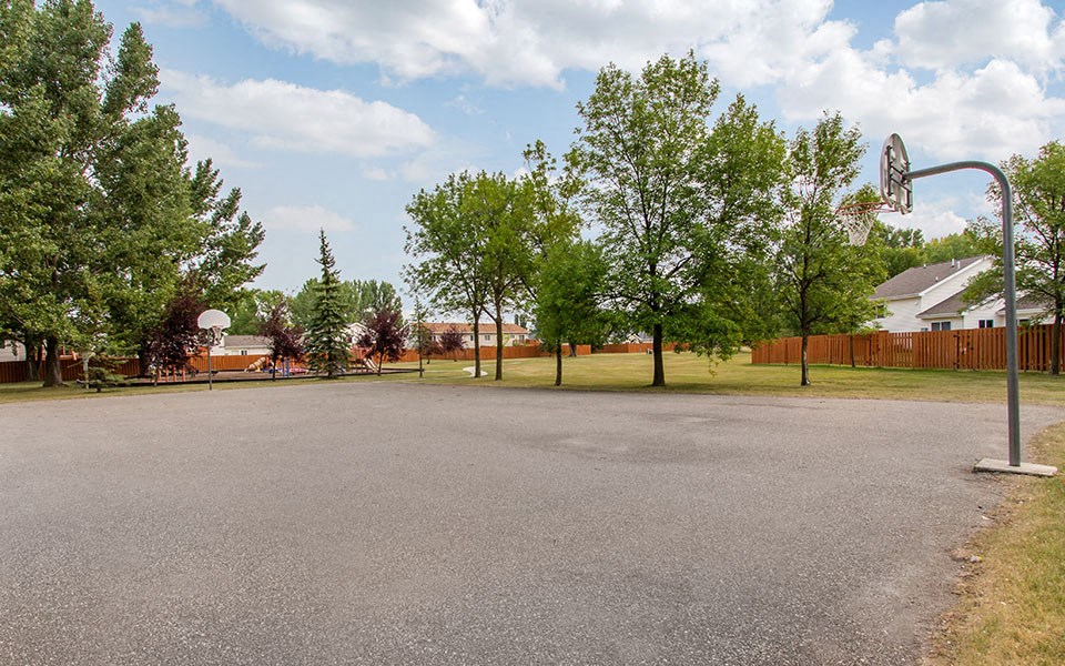 a basketball court in a park with trees