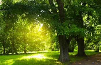 Wonderful out doors at Britain Way Apartments - Photo Gallery 3