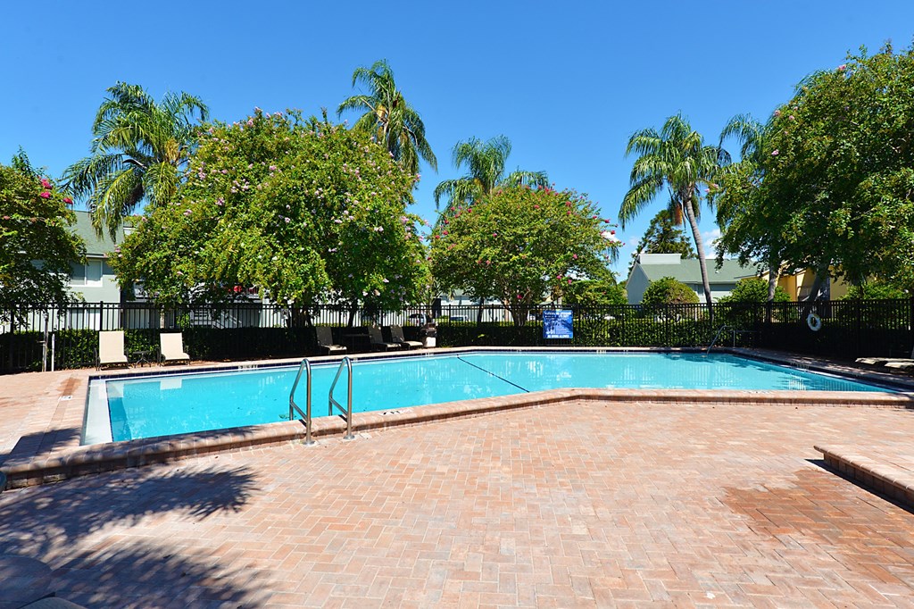 swimming pool at Broadwater Apartments in St Petersburg, FL 33711