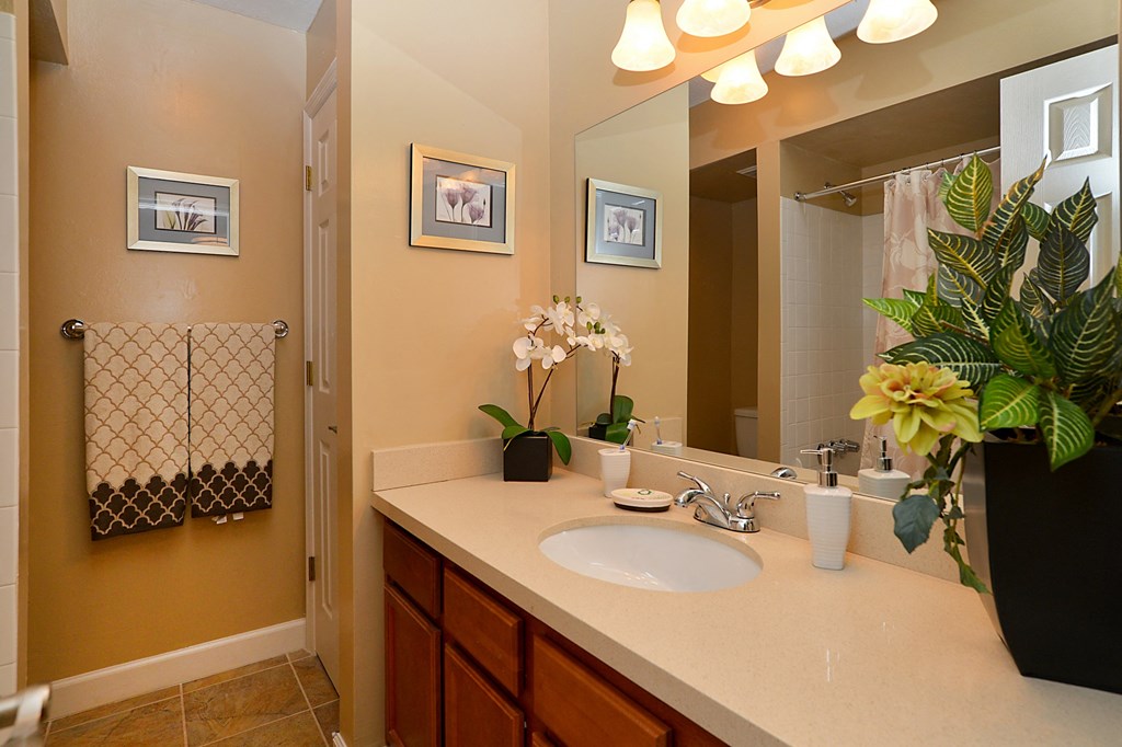 Bathroom with a sink and mirror at Broadwater Apartments in St Petersburg, FL 33711