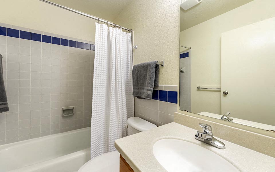 a bathroom with a sink and a toilet and a shower