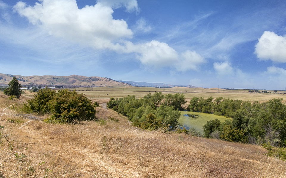 a view of a field with a lake and mountains in the distance