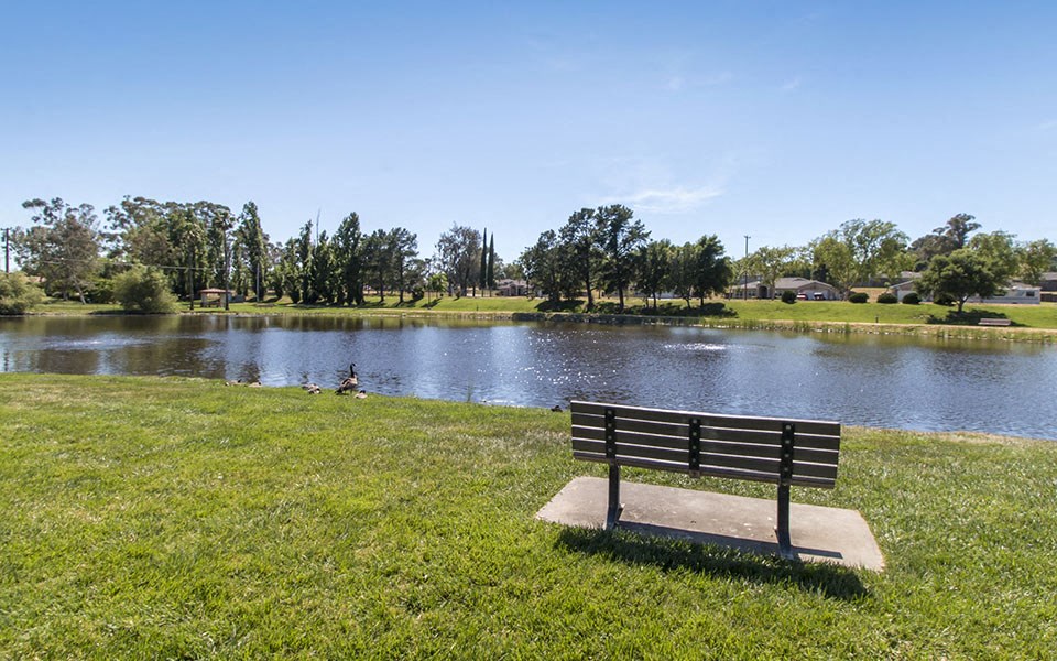 a park bench sitting in the grass near a pond