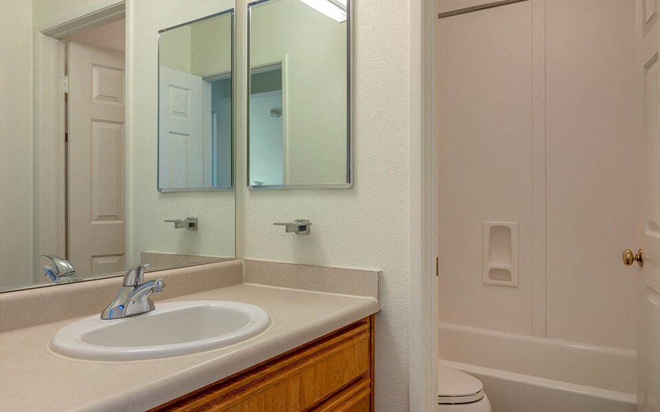 a bathroom with a sink and a mirror and a shower