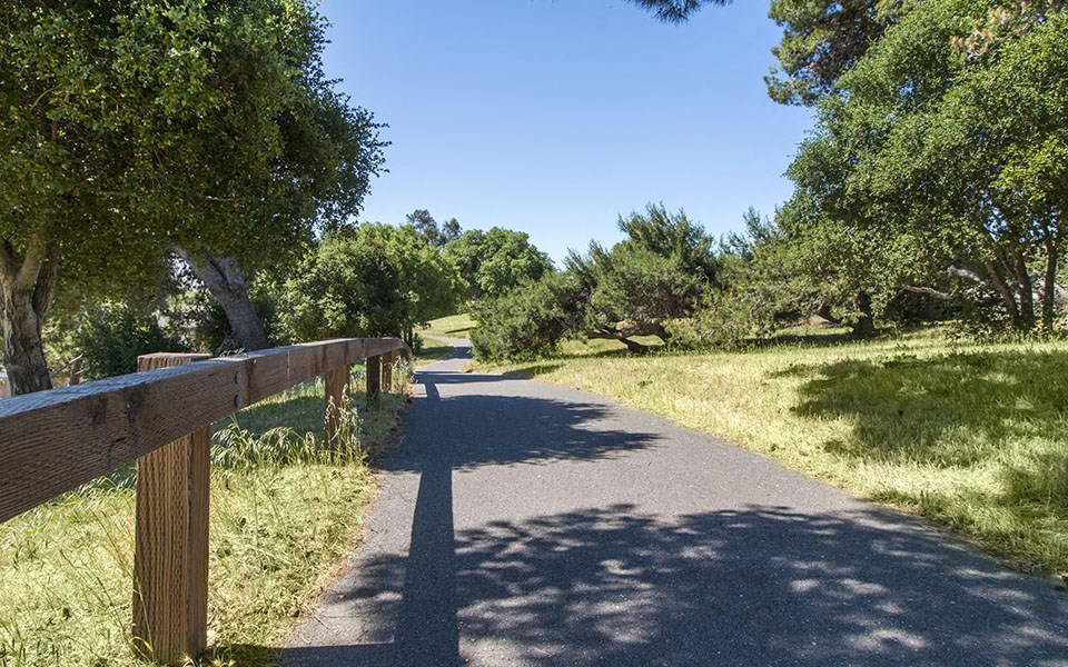 a path through a park with trees and a fence