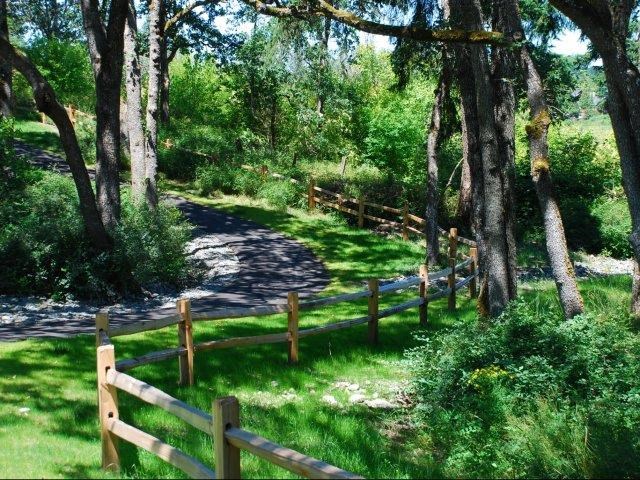 a dirt road in a forest with a wooden fence