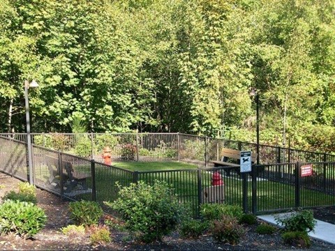 a dog park with a fence and a bench
