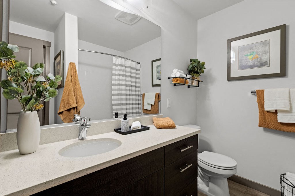 a bathroom with a sink and a toilet and a mirror