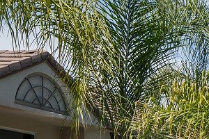 1 Bedroom Apartments For Rent In Redlands Ca Rentcafe