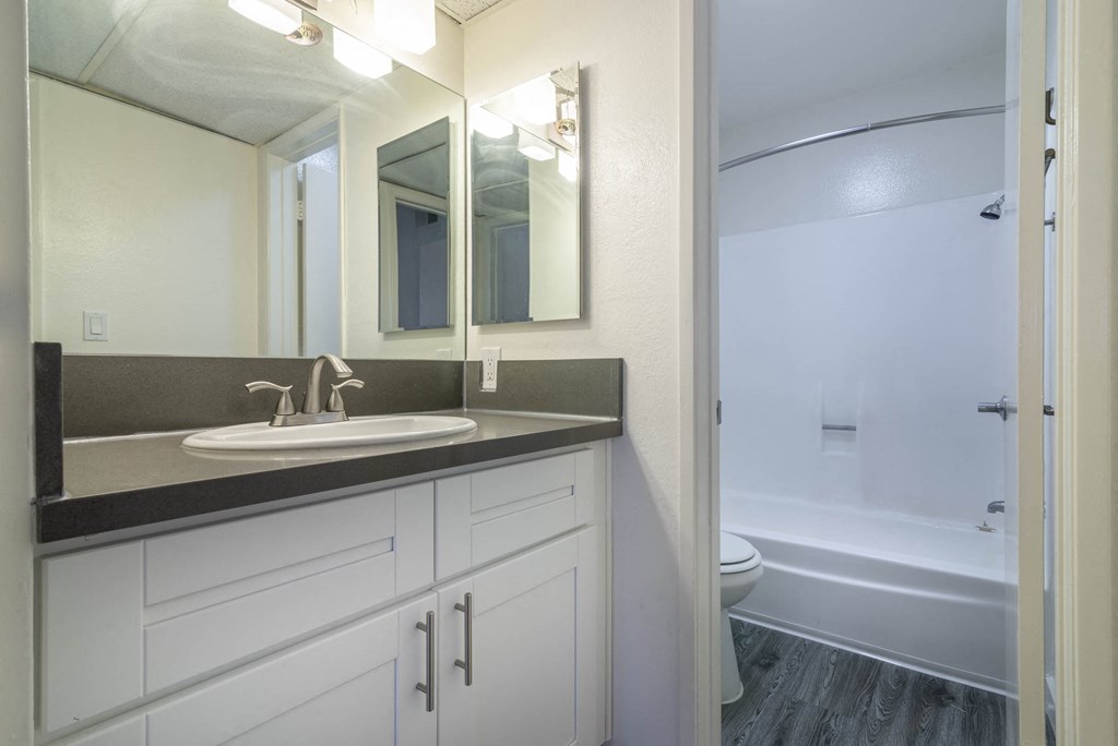 Bathroom with Tub shower