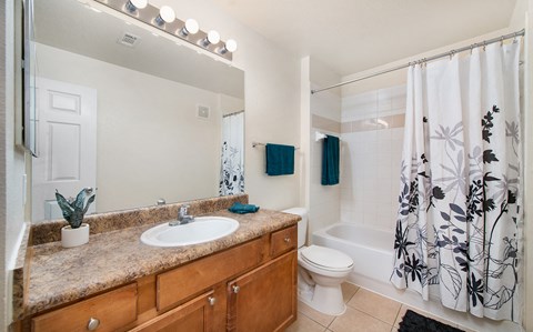 a bathroom with a sink and a toilet and a shower
