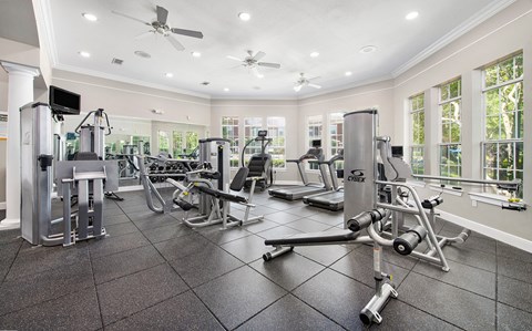 the gym at 1861 muleshoe road has a variety of exercise equipment