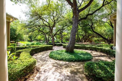 a view of a courtyard with trees and bushes