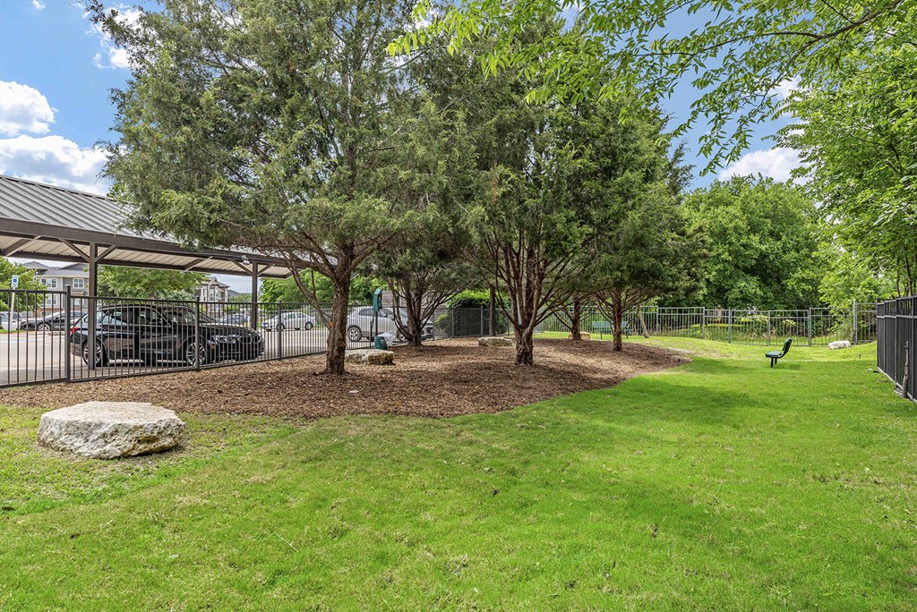a dog park with trees and a large rock in the grass
