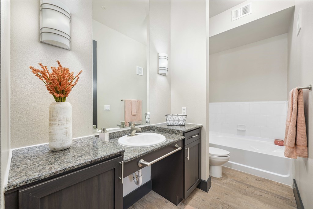 a bathroom with a sink and a mirror and a toilet