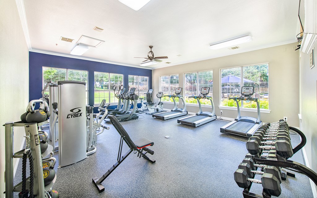 the gym has plenty of cardio equipment and windows