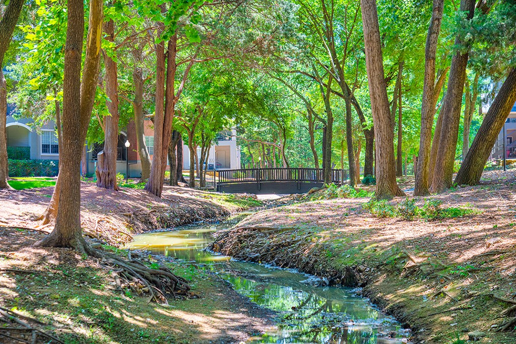 a creek in a park with trees and a bridge