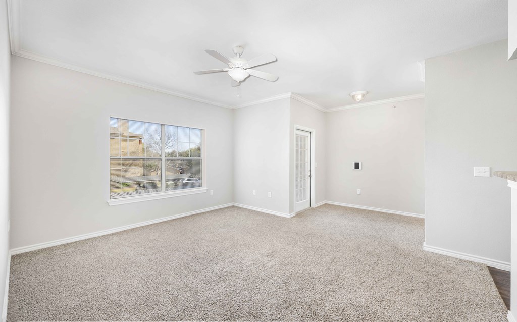 A room with a carpeted floor and a ceiling fan.