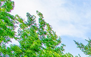 the preserve at ballantyne commons pool and spa with apartment buildings
