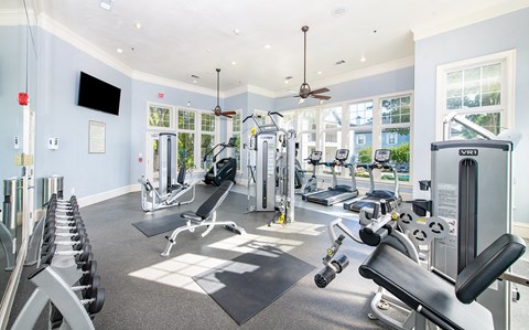 a gym with weights and cardio equipment and windows