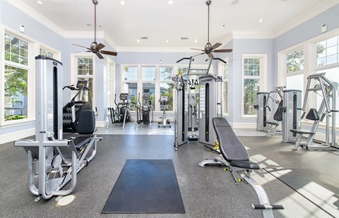 a gym with weights and cardio machines and ceiling fans