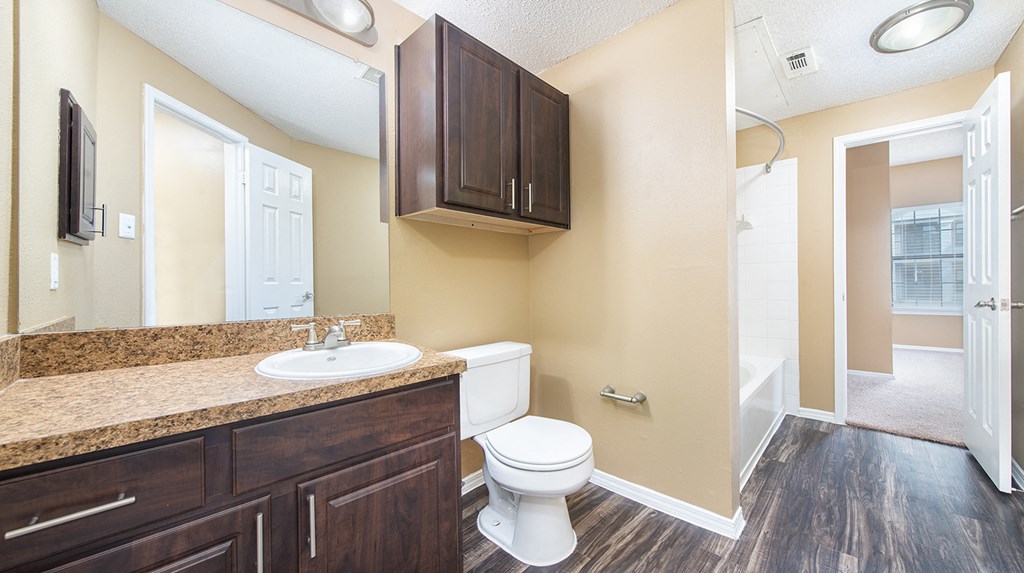 a bathroom with a toilet and a sink and a mirror