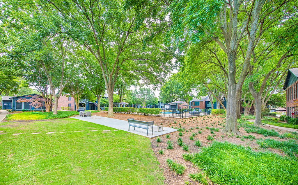 a park with trees and a bench