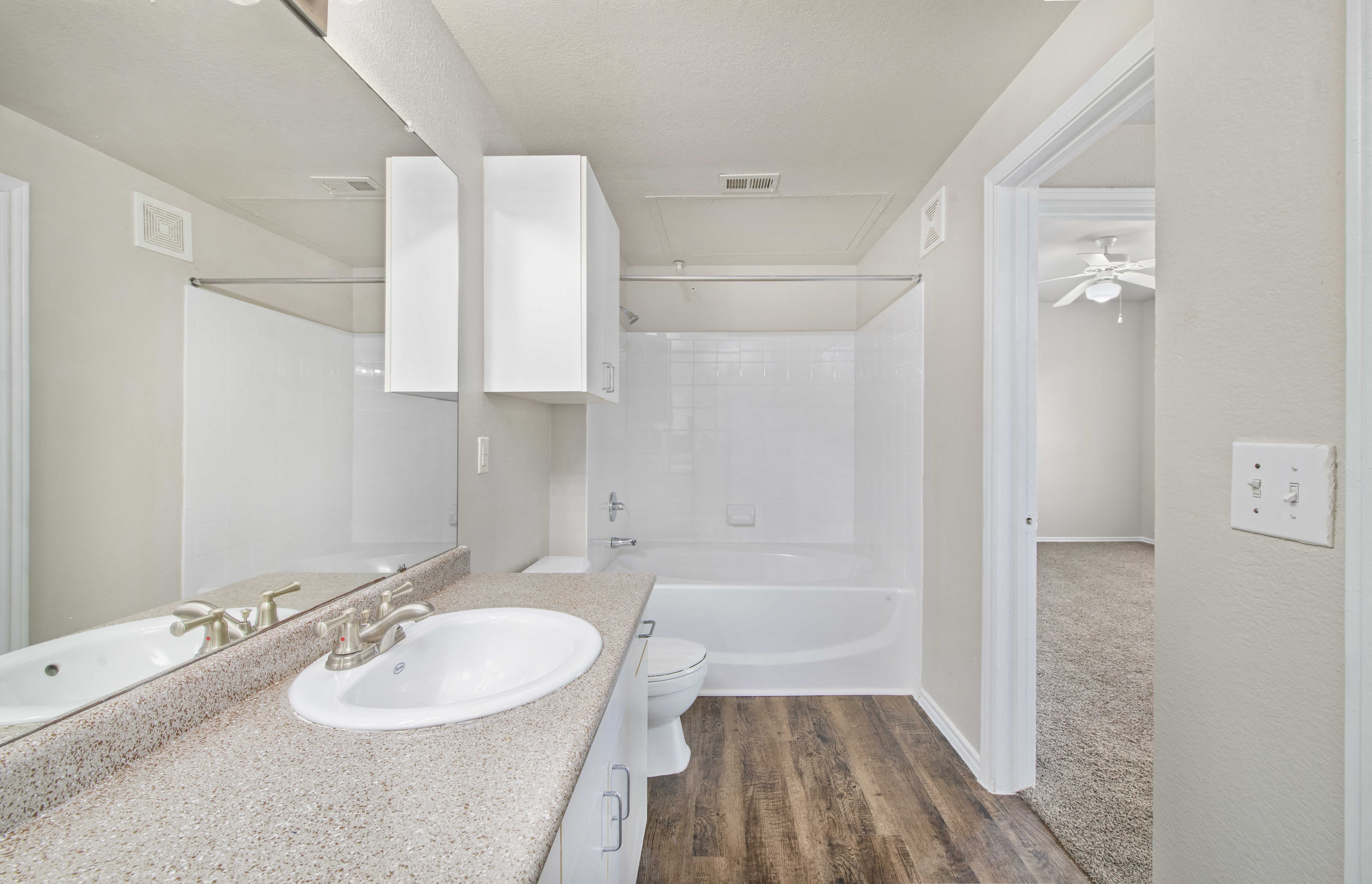 a bathroom with a sink and a toilet and a bath tub